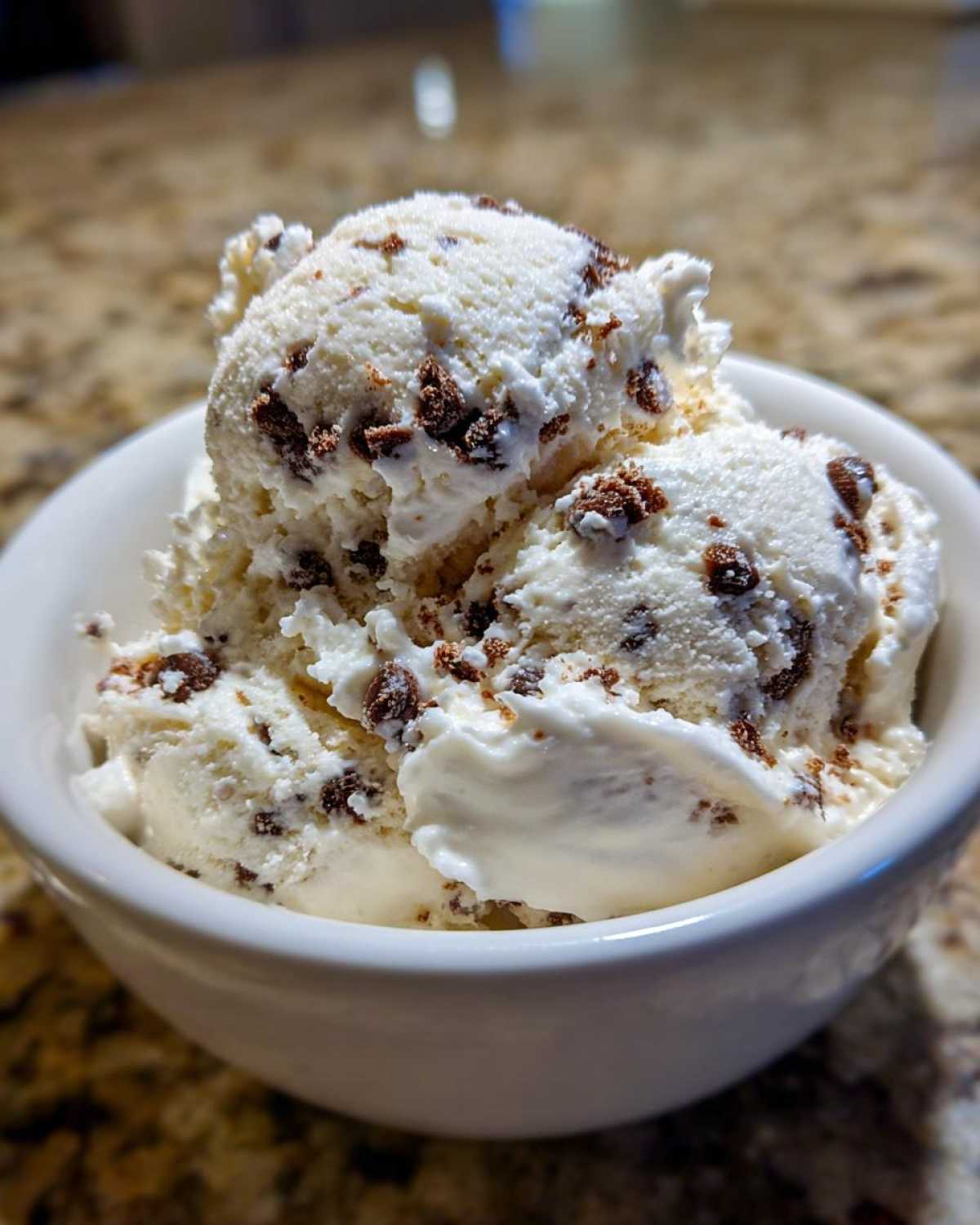 Chocolate Chip Cottage Cheese Ice Cream - detail 1