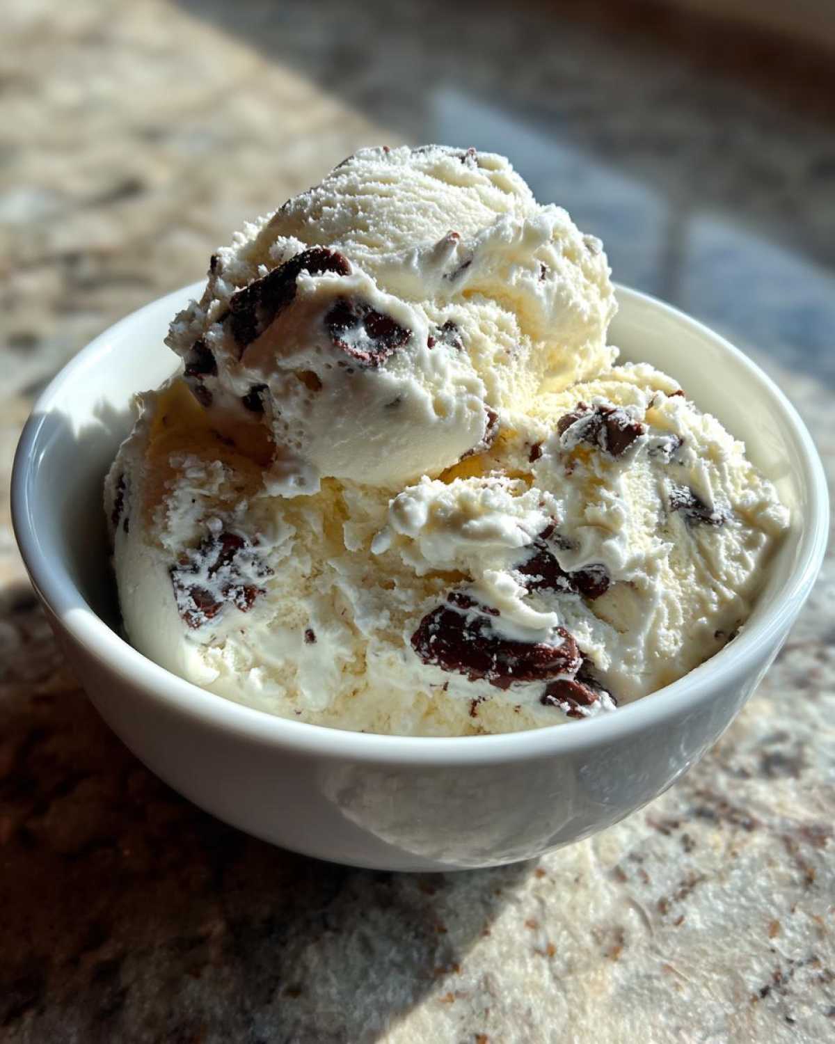 Chocolate Chip Cottage Cheese Ice Cream - detail 2