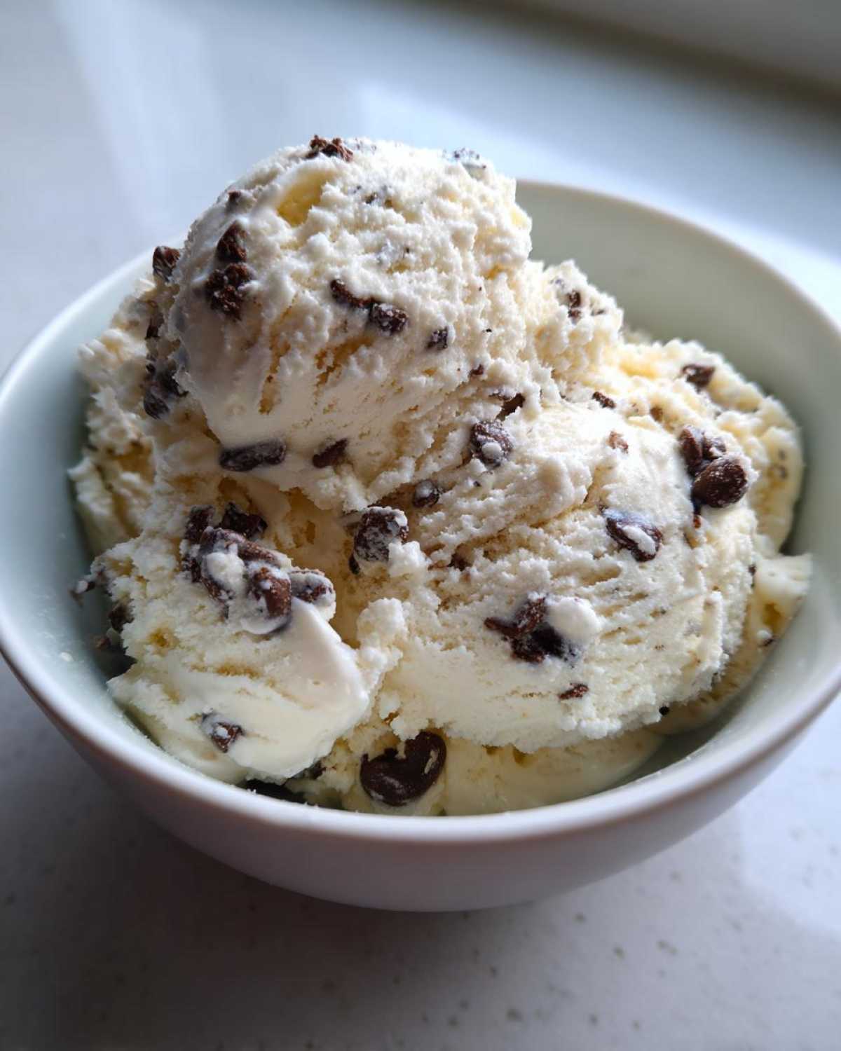 Chocolate Chip Cottage Cheese Ice Cream - detail 3