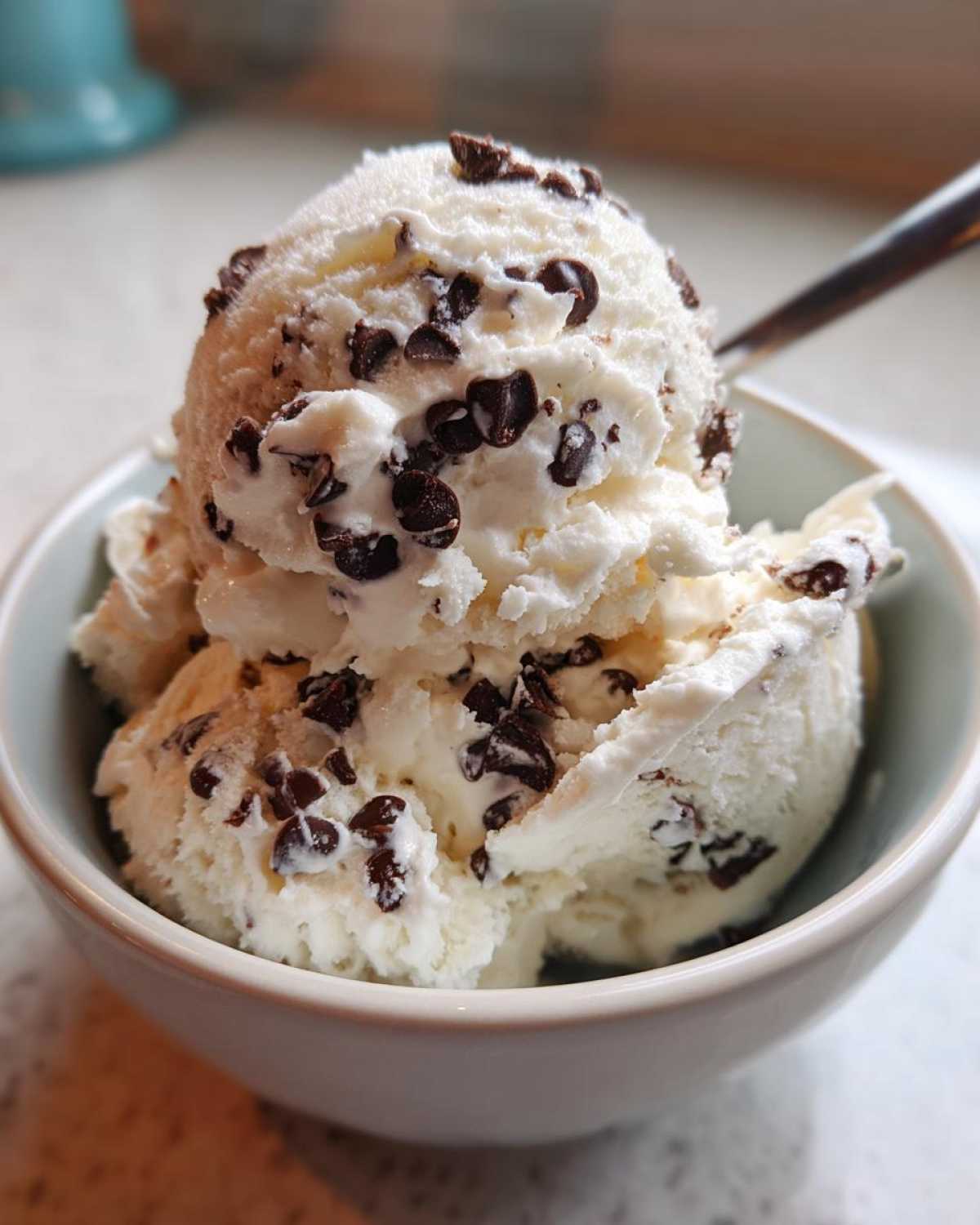 Chocolate Chip Cottage Cheese Ice Cream - detail 4