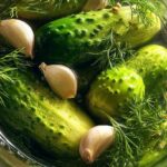 Crunchy Refrigerator Dill Pickles