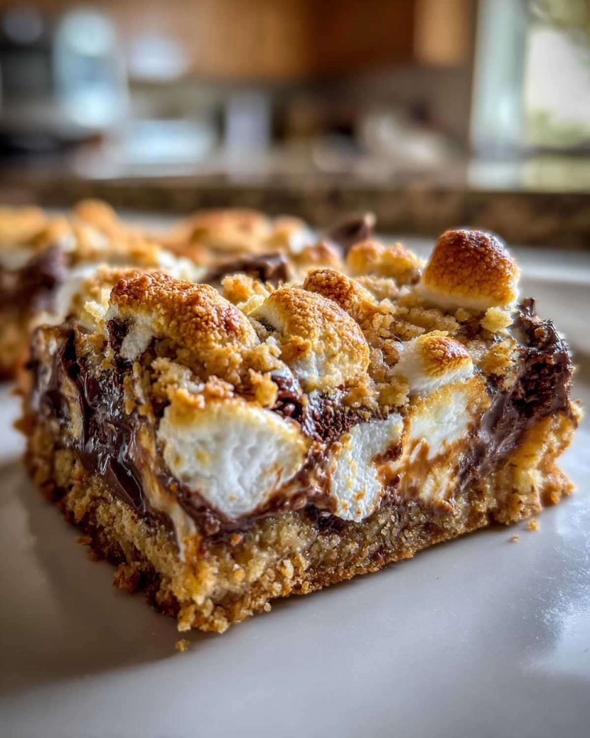 Ooey-Gooey S'mores Bars - detail 3