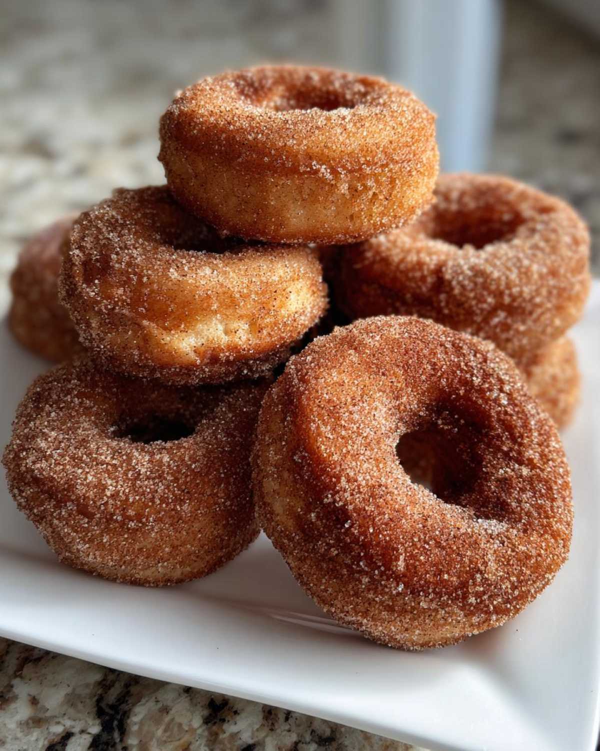 Apple Cider Donuts - detail 2