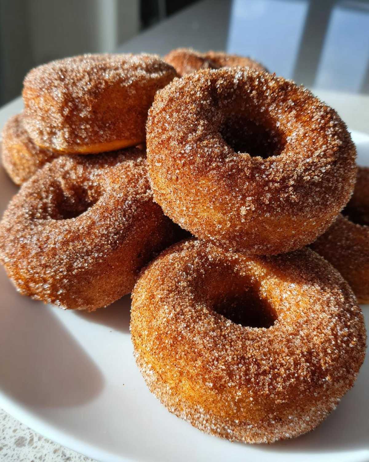 Apple Cider Donuts - detail 3