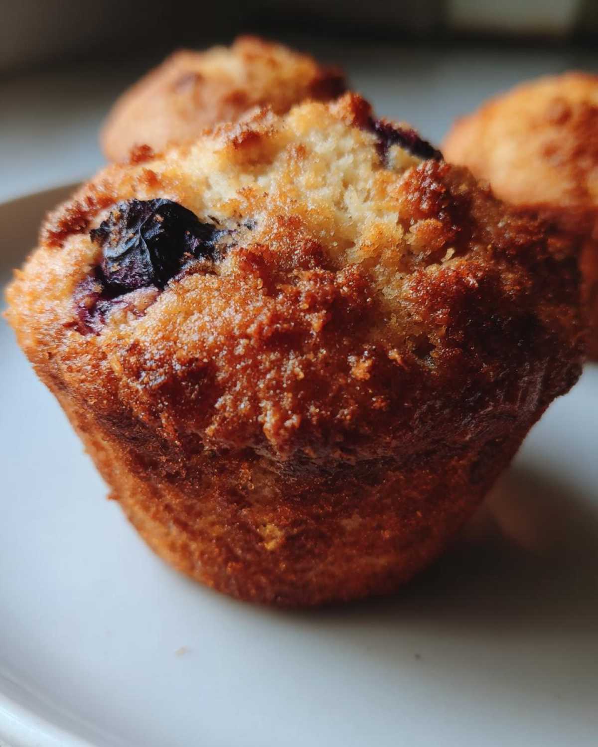 Banana Blueberry Muffins - detail 2