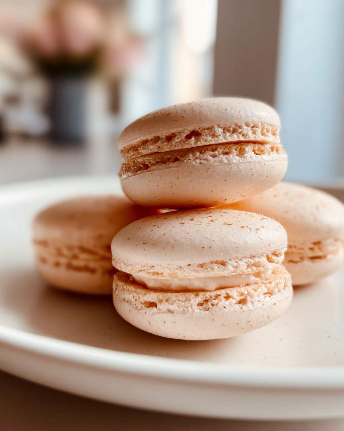 French Macarons - detail 2
