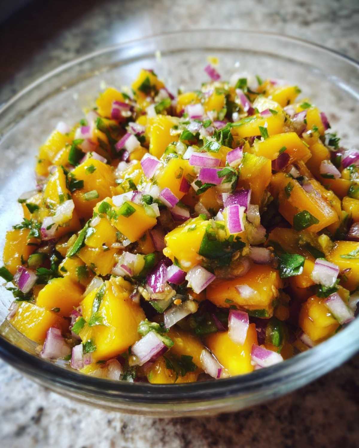 Mango Salsa - detail 1