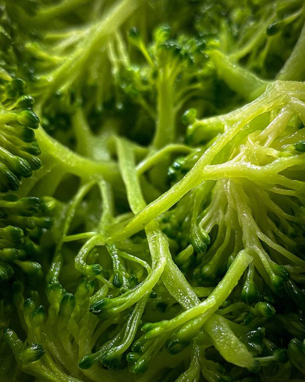 Oriental Ramen Broccoli Slaw - detail 1