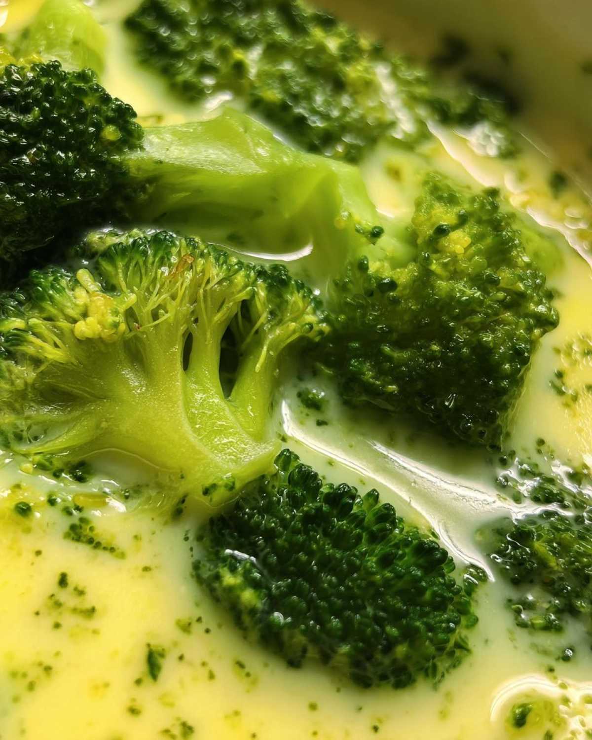 Broccoli Cheddar Soup You Can Make in a Blender - detail 1