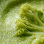 Broccoli Cheddar Soup You Can Make in a Blender