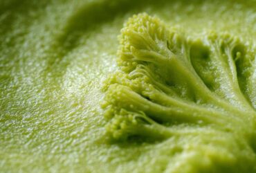 Broccoli Cheddar Soup You Can Make in a Blender