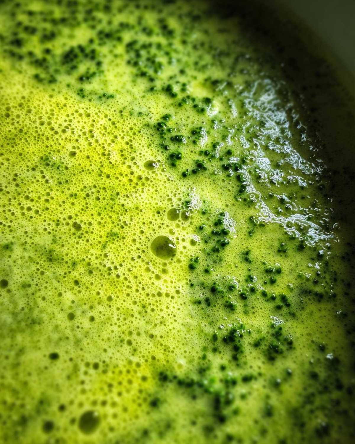 Broccoli Cheddar Soup You Can Make in a Blender - detail 4