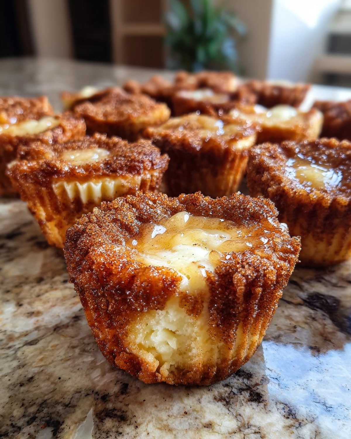 Churro Cheesecake Bites (Cinnamon Sugar Bliss) - detail 4