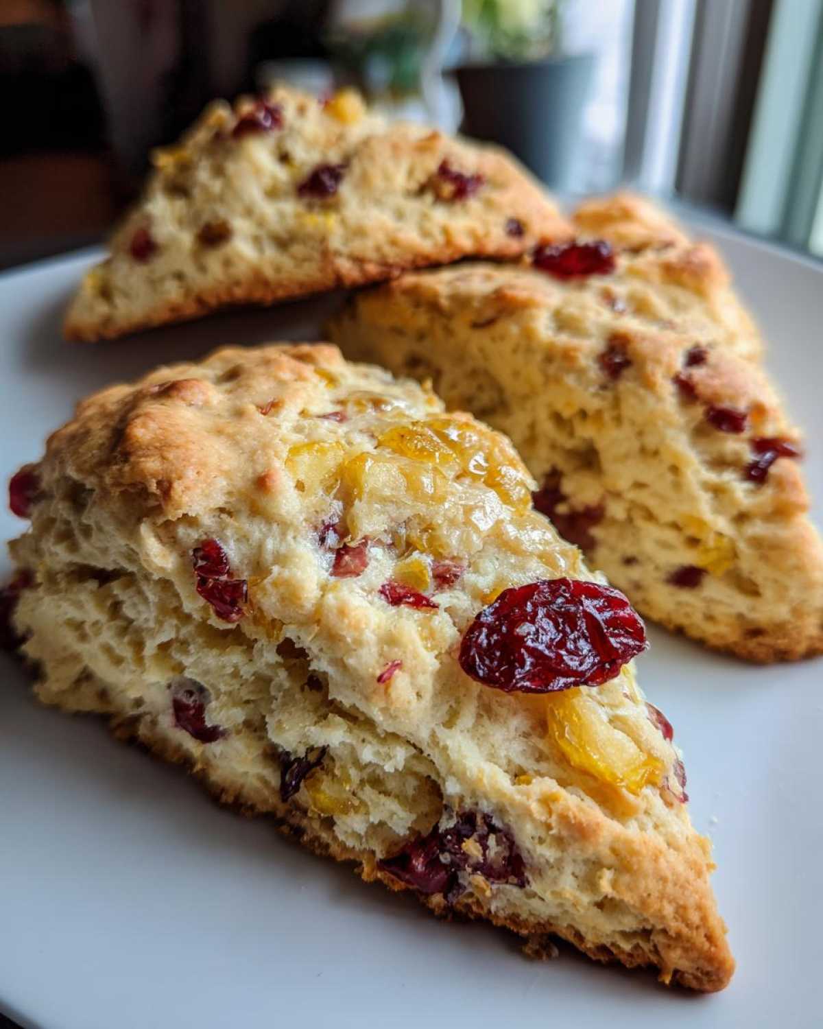 Melt-in-Your-Mouth Orange Cranberry Scones - detail 1