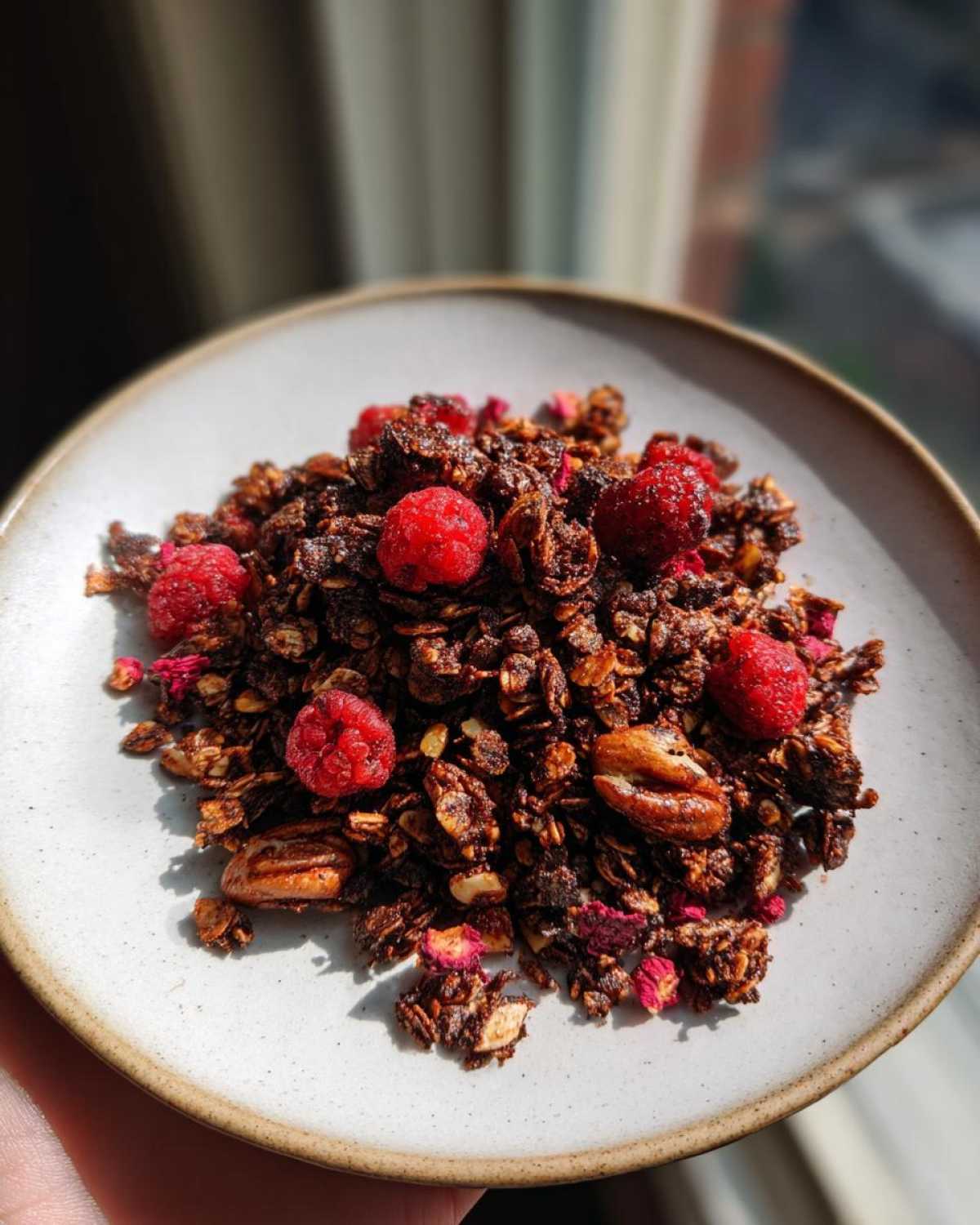 Chocolate Raspberry Granola - detail 2
