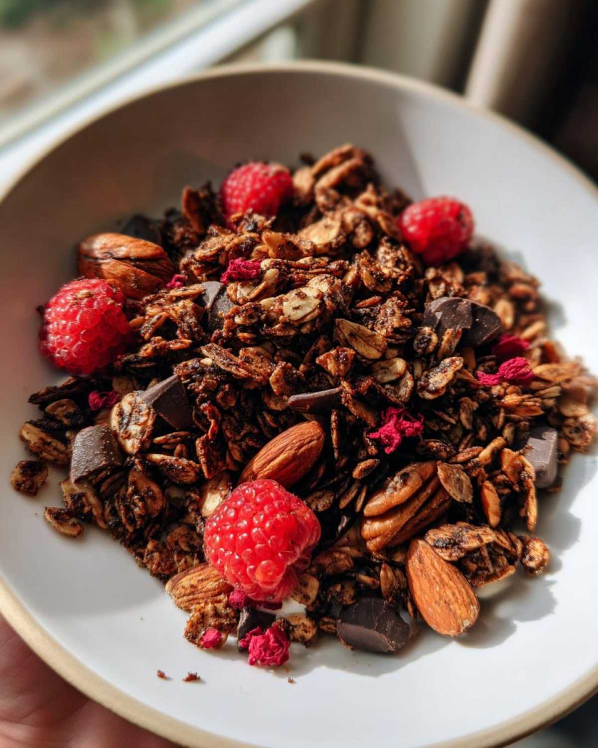 Chocolate Raspberry Granola - detail 4