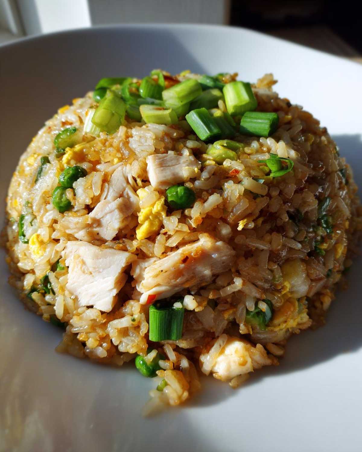 A perfectly mounded serving of homemade chicken fried rice topped with fresh green onions.
