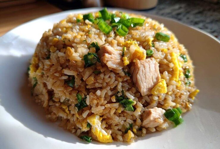 A mound of savory chicken fried rice with visible chunks of chicken, scrambled egg, and green onions on a white plate.