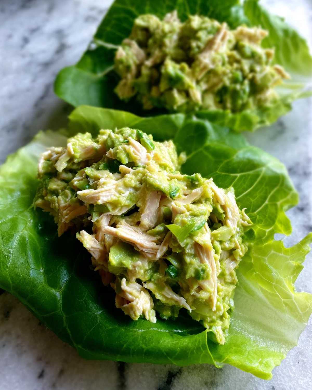 Two servings of creamy avocado chicken salad nestled in bright green butter lettuce cups.