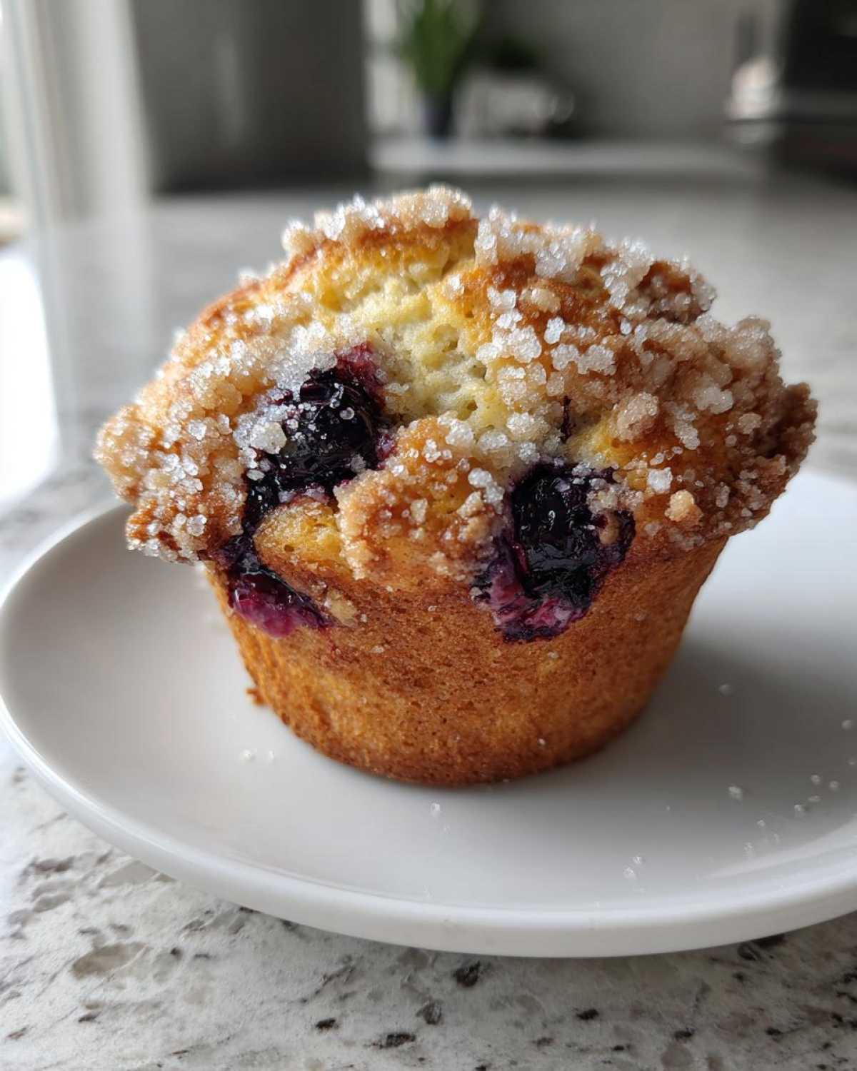 blueberry muffin - detail 1