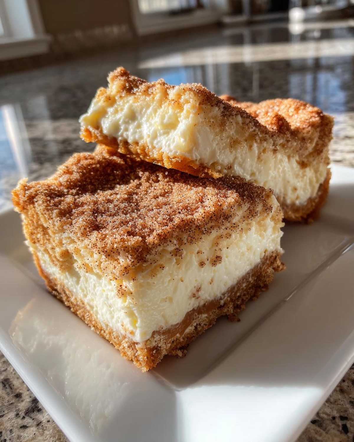 churro cheesecake - detail 3