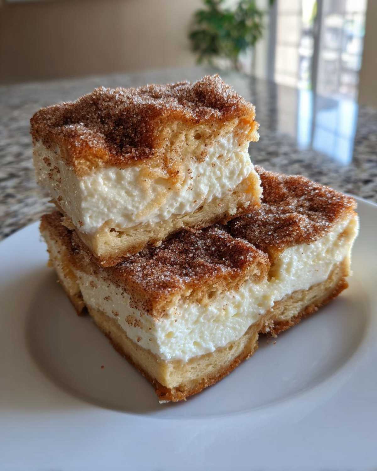 churro cheesecake - detail 4