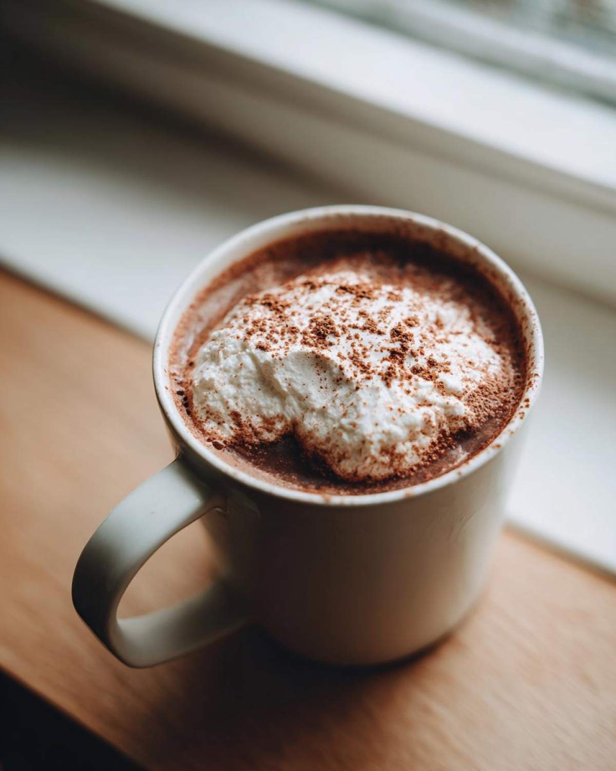 A close-up of a white mug filled with rich hot cocoa mix topped with whipped cream and cocoa powder.