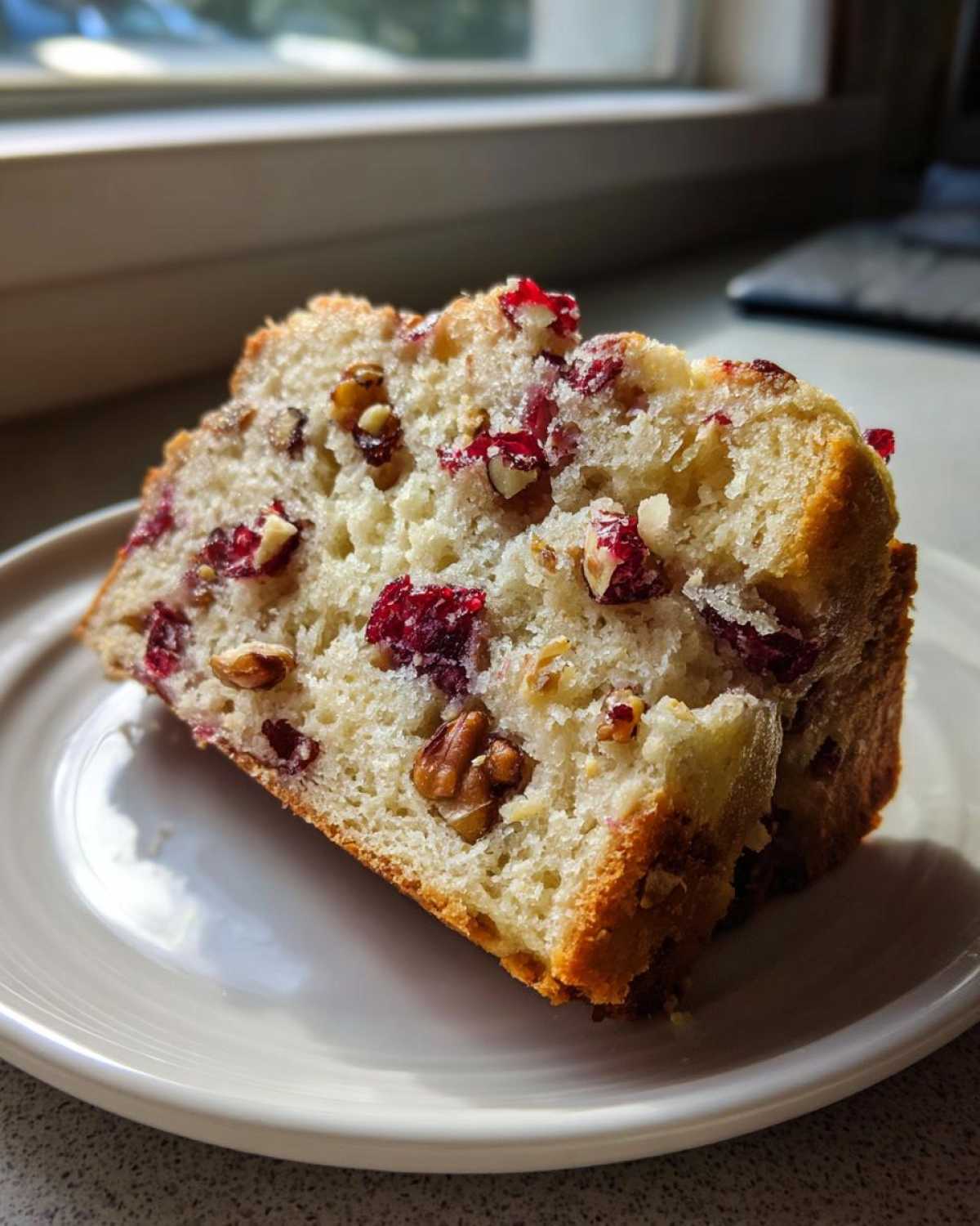 cranberry walnut bread - detail 1