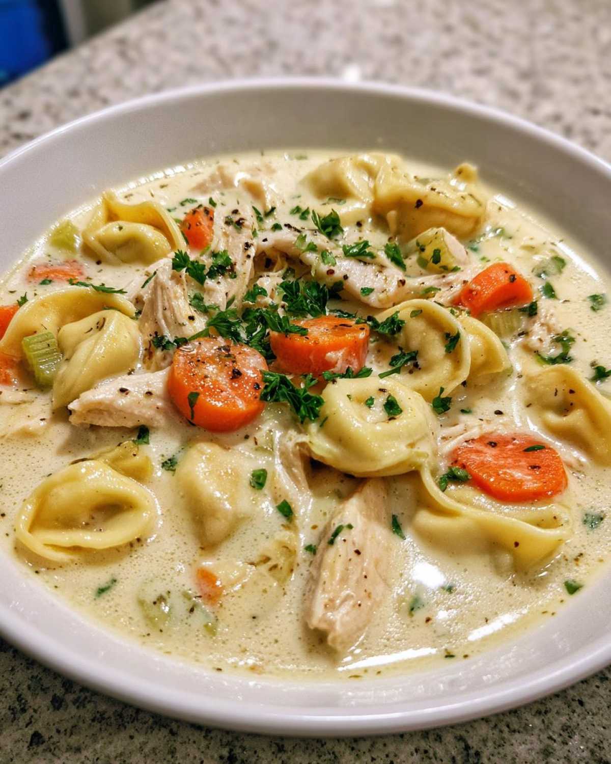 creamy chicken tortellini soup - detail 2