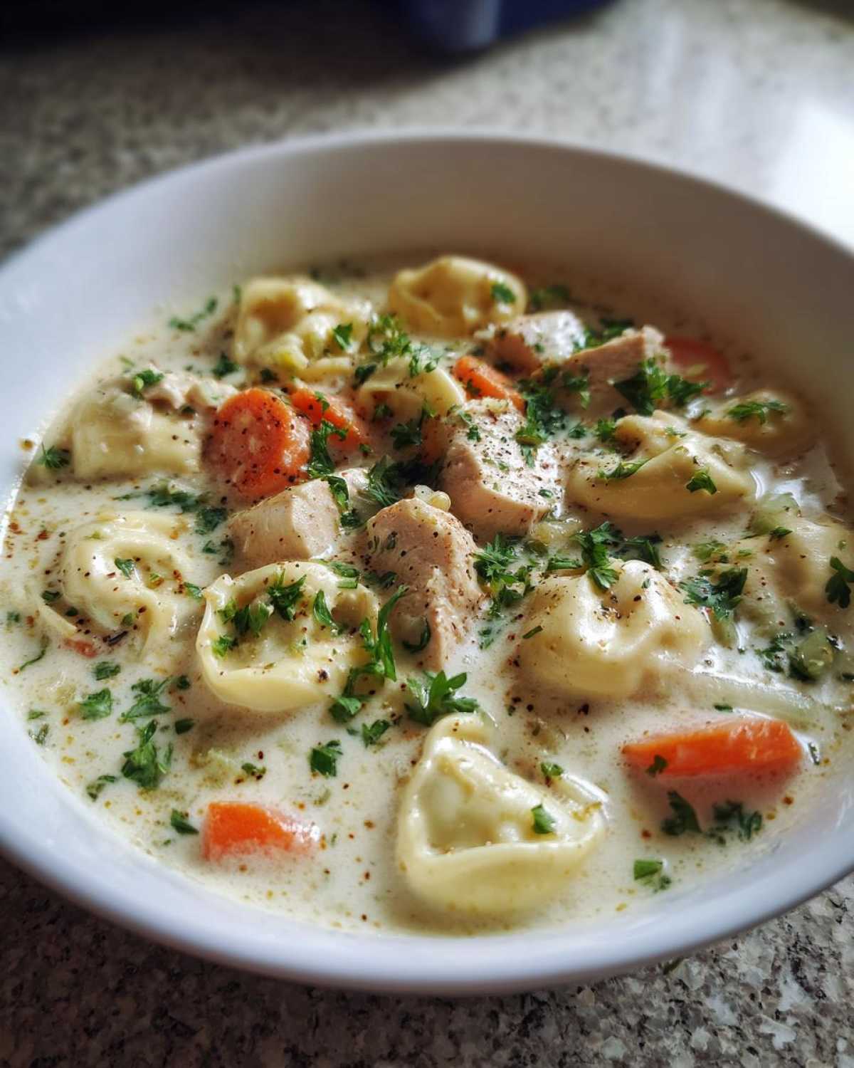 creamy chicken tortellini soup - detail 3