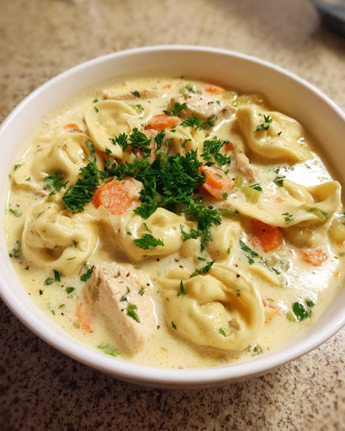 creamy chicken tortellini soup - detail 4