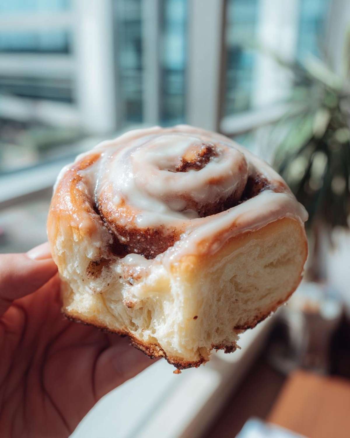 A close-up shot of a soft, freshly baked cinnamon roll topped with white icing, held up near a window.