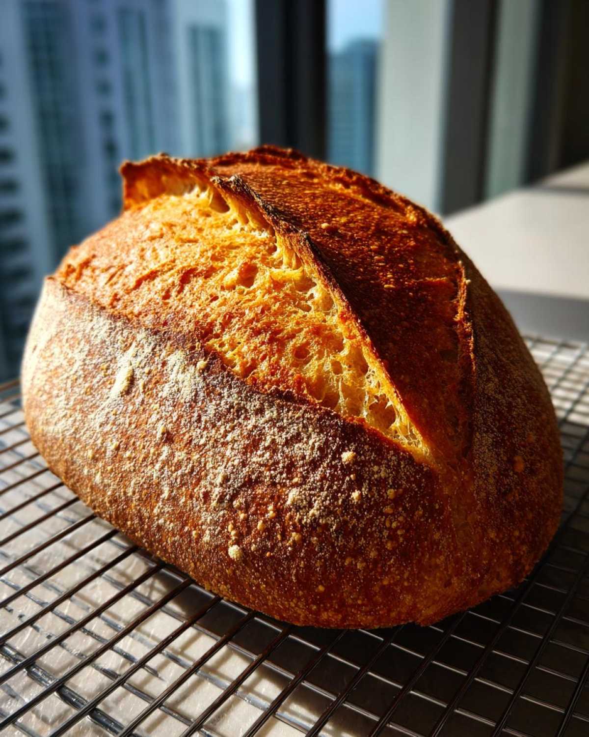 A beautifully baked loaf of Italian bread with a deeply caramelized, scored crust cooling on a wire rack.
