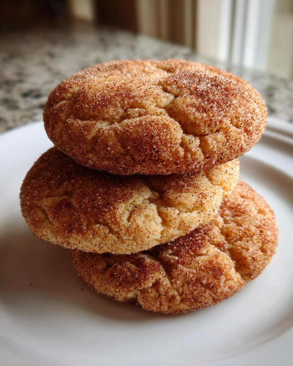 snickerdoodles - detail 2