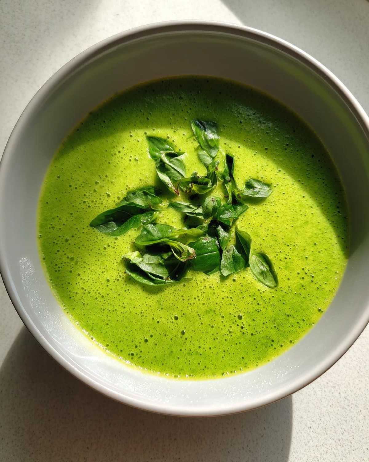 zucchini soup - detail 4