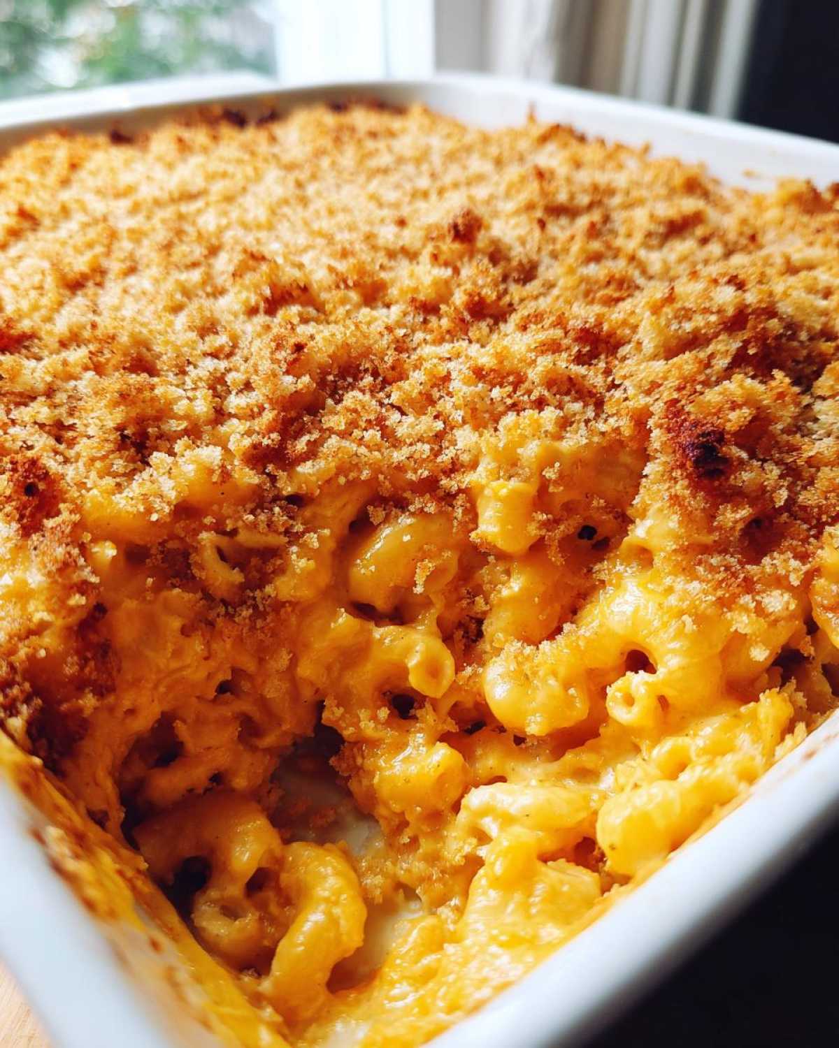 Close-up of creamy baked mac and cheese recipe with a golden, crunchy breadcrumb topping in a white dish.