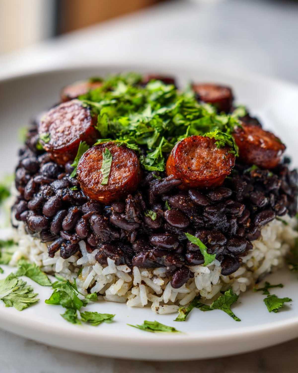 A serving of One-Pot Black Beans and Rice with Sausage, topped with sliced chorizo and fresh cilantro.